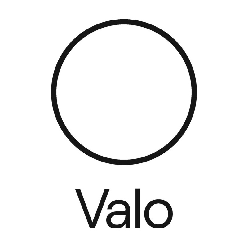 Logo Valo Health